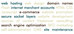 Tag cloud image of commonly-used terms in web design and development