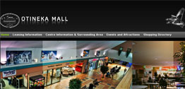 Otineka Mall Small Portfolio Screen Capture